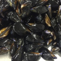 farm raised freshest whole cleaned mussel meat no sand no clay